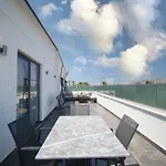 Sea Palm 亚力卡瓦克