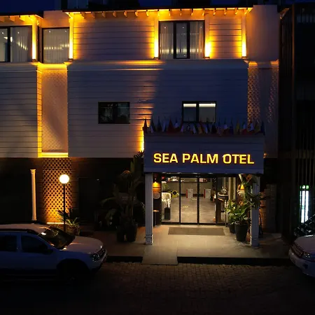 Sea Palm יאליקאבאק