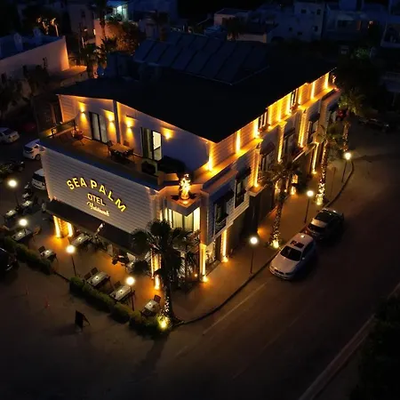 Sea Palm 4*