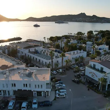 Sea Palm Hotel *