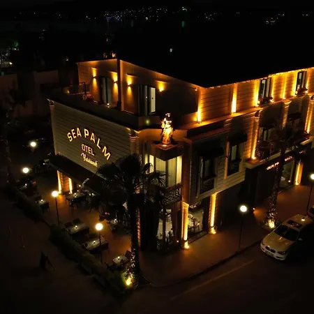 Hotel Sea Palm *