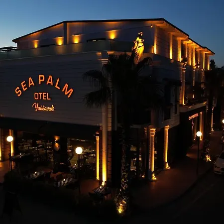 Sea Palm