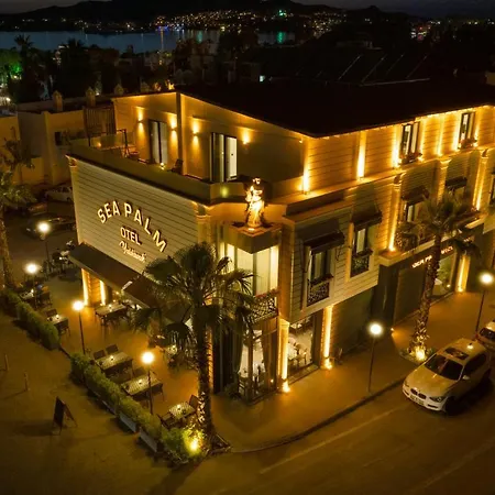 Sea Palm * Yalıkavak