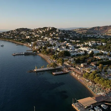 Ξενοδοχείο Sea Palm