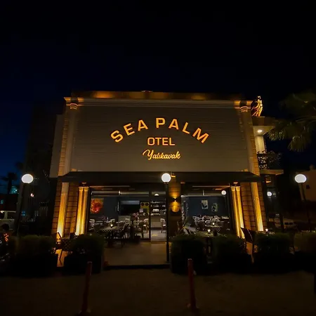 Sea Palm * Yalıkavak