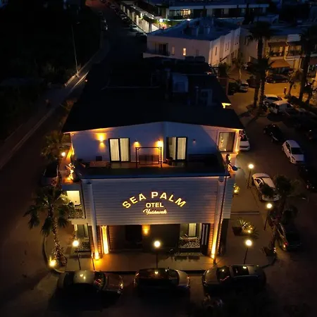 Sea Palm * Yalıkavak