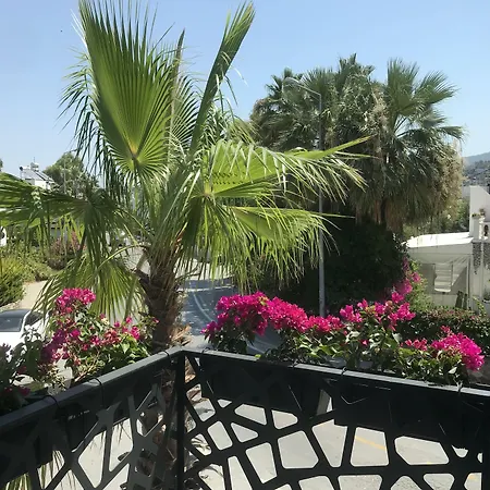 Sea Palm ホテル
